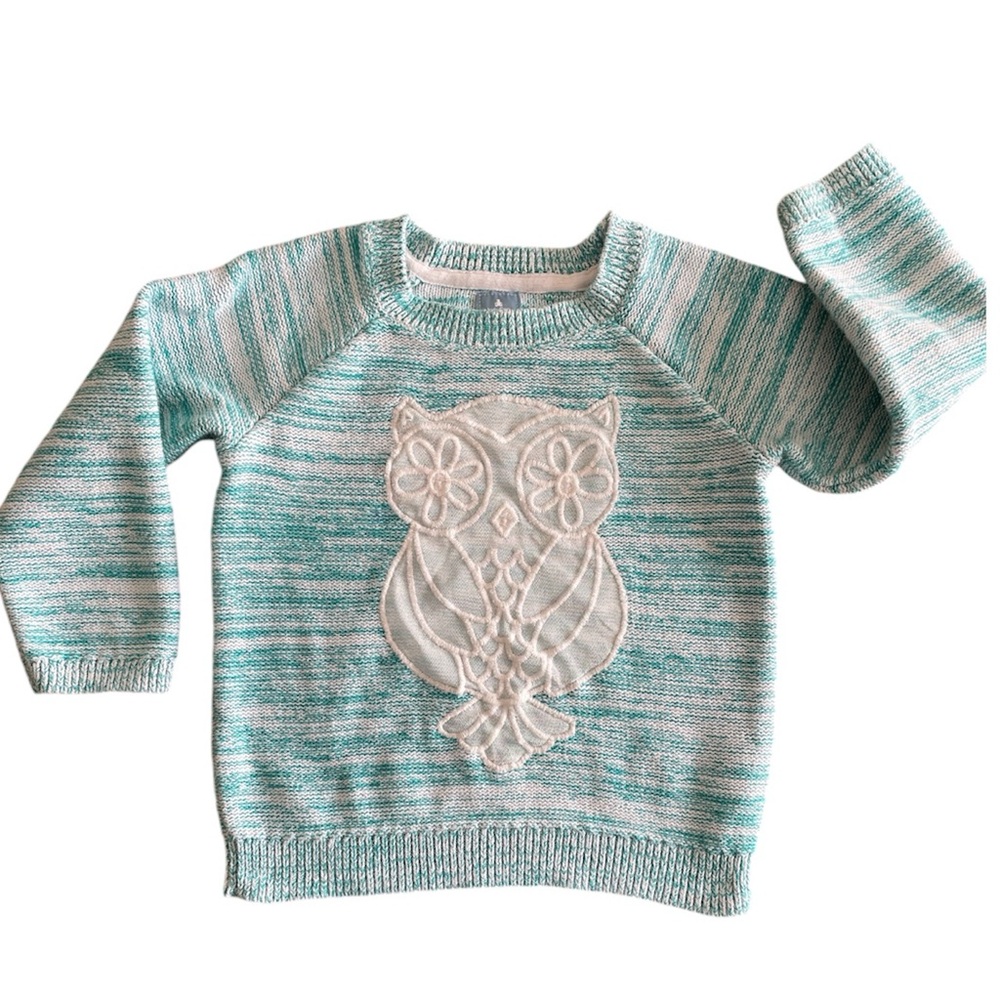 Baby Gap Teal Owl Knitted Crew Neck Sweater
